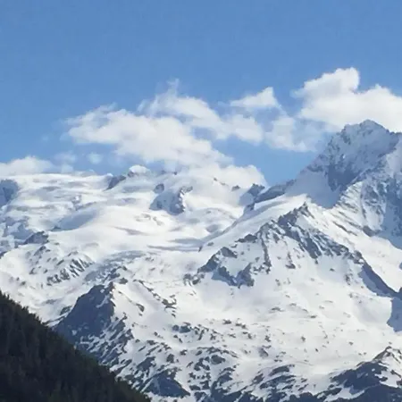 Le Petit Saint Bernard Chalet