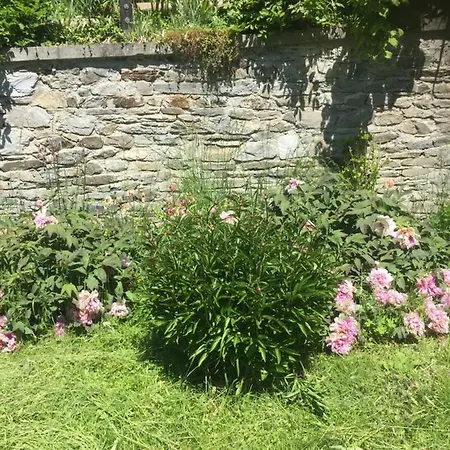 Le Petit Saint Bernard Chalet